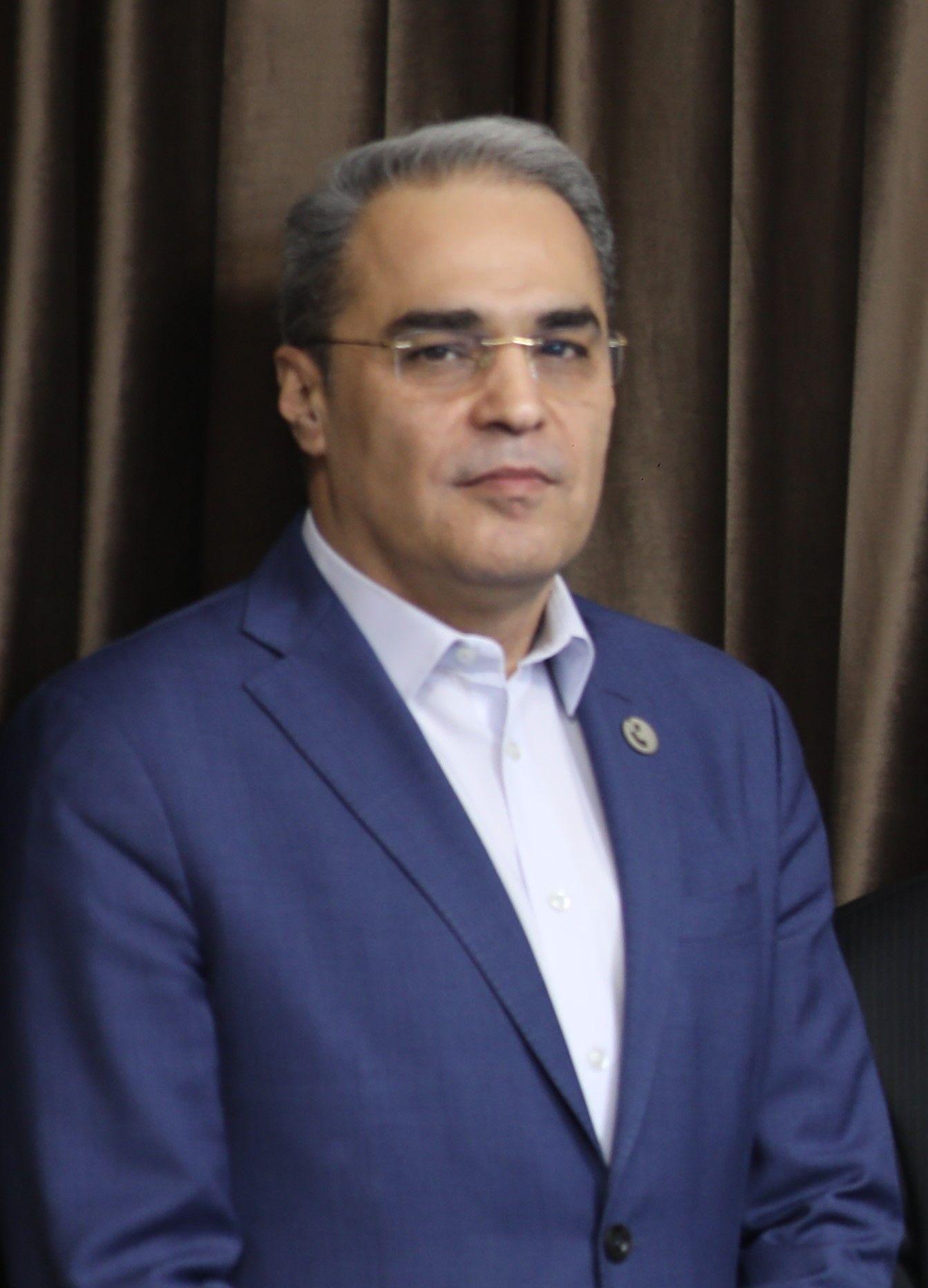 سید مهدی احمدی افشار - نایب رییس هیئت مدیره